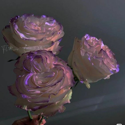 Illusion_aespa_speed_up