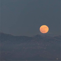 Summer Nights [Alt Version]