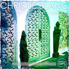 The Doors of Perception (Wolfgang Filz Remix Extended) - Chris Le Blanc,L'Art Mystique&Wolfgang Filz
