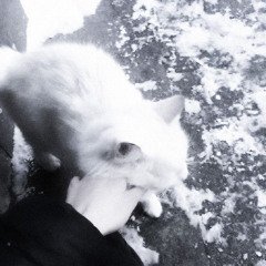 __|\ (kataixfettywap)