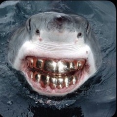 SHARKIN SHII