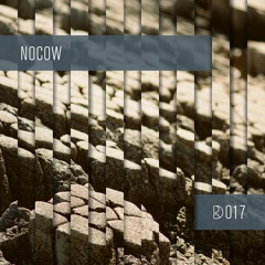Dynamic Reflection Podcast Series 017: Nocow