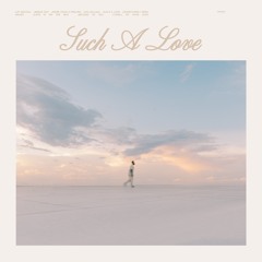 Such a Love (Live)