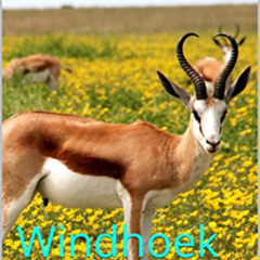 Access PDF 💝 Namibia: Windhoek (Photo Book Book 131) by  Lea Rawls [EPUB KINDLE PDF