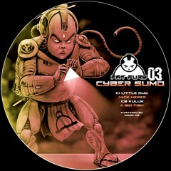 FAT FURY 03 - CYBER SUMO (PROMOMIX SIDE_C)