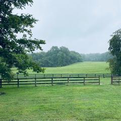 In the Fields of Grass