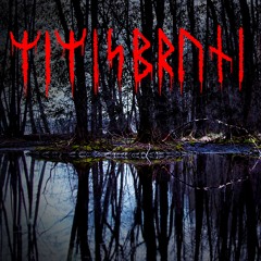 Mimisbrunni | Dark ambient pagan music 🌑☠️
