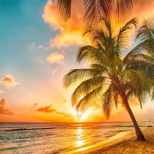 JU$T ♧N€ M♧R€ M♧M€NT🌿🌹