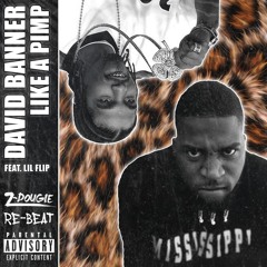 David Banner - Like A Pimp Feat. Lil Flip (Z-Dougie Re-Beat)