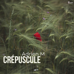 Crepuscule (Original Mix)