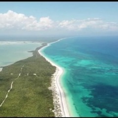 Live in Sian ka'an