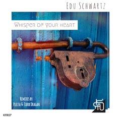 Edu Schwartz - Kissed By Fire (Tibor Dragan Remix)