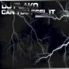 DJ FLAKO - Can You Feel It (Original Mix)