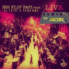 Big Flip Papi Feat. RJ Payne & Grea8Gawd "Live" (Remix)
