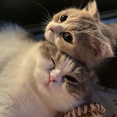 KANO 강승윤 송민호 - 네가 필요해 (DEMO VER)