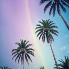Look to the Rainbow