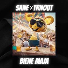 Biene Maja - SANE X TRNOUT