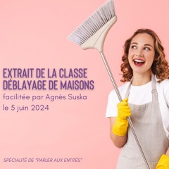 Nettoyage Énergétique de Maisons [vibrations, entités, défunts, médiumnité, l'au-delà]