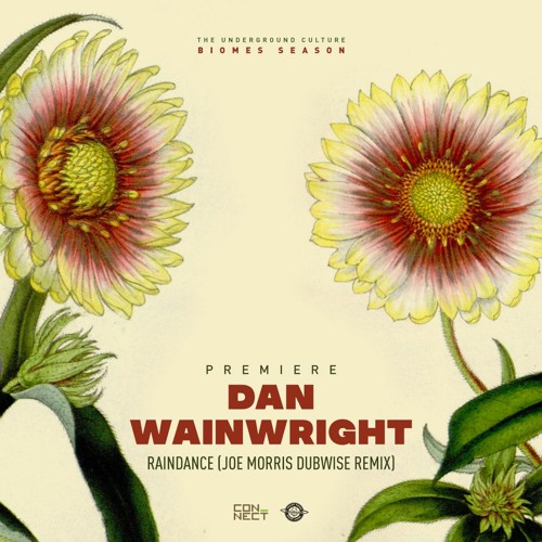 PREMIERE: Dan Wainwright - Raindance (Joe Morris Dubwise Remix) [Night Noise]
