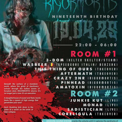 Wasbeer @ Rigormortis 19th Birthday 19/04/25