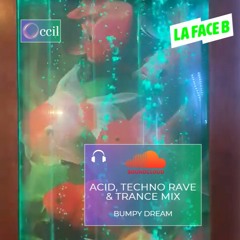 ccil for La Face B - Bumpy Dream (Acid, Techno Rave & Trance Mix)