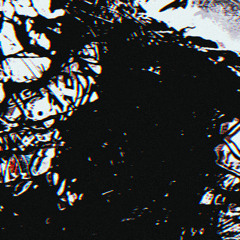 Symbiotic acquaintance