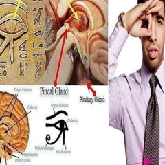 NASIHAT FREESTYLE <p.@tvnatvnatvna>