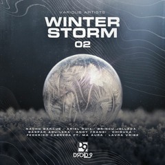 Various Artists - Winter Storm 002 [Droid9]