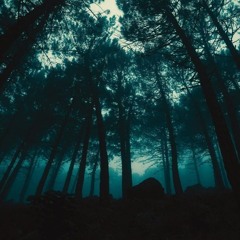 Rokettek - Foresttekeando