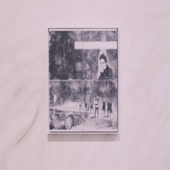 B1. Moonilena - Mykorrhiza