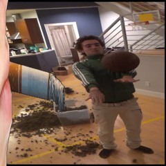 hippo *video in description*