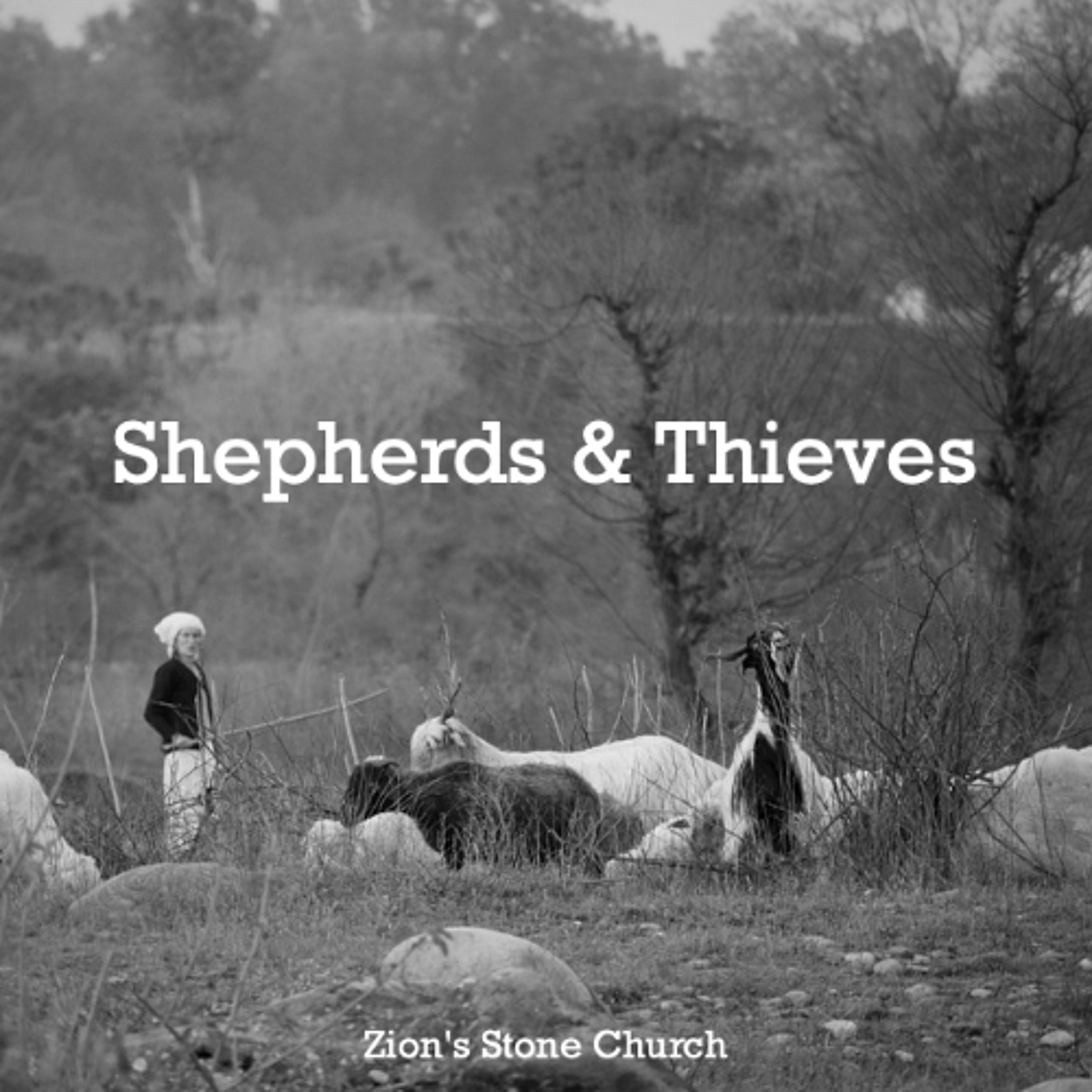 Shepherds & Thieves