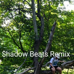Ginseng Strip 2002 Remix (Prod. $hadow Beats)