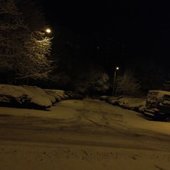 FrxvrLxst - Withering demo.mp3