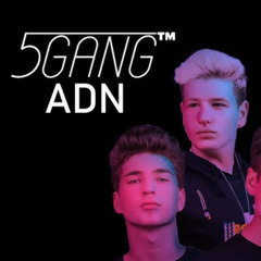 5GANG - ADN 2025 (FULL LEAK) Official Audio