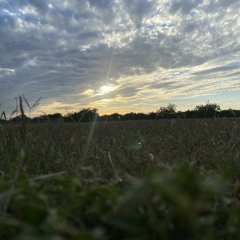 Paradise