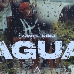 DOWEL KING - AGUA 💧(VIDEO OFICIAL) ​⁠