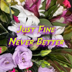 Just Fine Never Better (single)