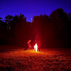 Howling In The Woods