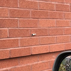 {[;;;free beet,,,]}>>>>>>>