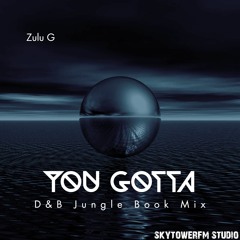 You Gotta (D&B Jungle Book Mix)
