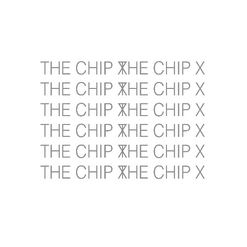DON'T MESS WITH THE CHIP X