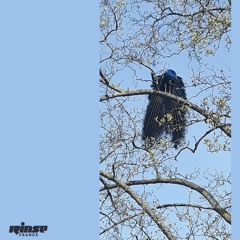 Fragil Show avec Design Default - 15 Avril 2021