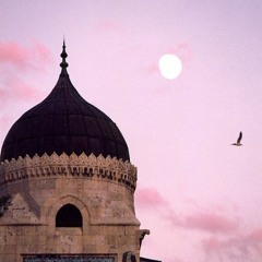 قِيلَ ادْخُلِ الْجَنَّةَ / الشيخ محمود علي البنا