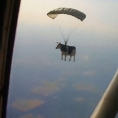 김영철- 따르릉