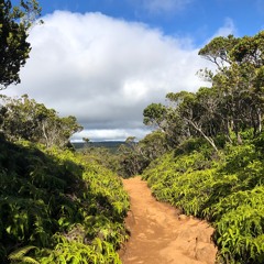 This Road