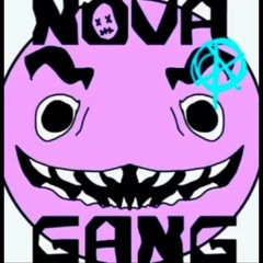 Nova gang- osquinn/p4rkr's verse only (stuff remix loop)