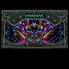 Micronoise (Shamanic Frequencies festival mix)
