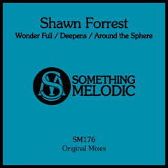 Shawn Forrest - Wonder Full (Original Mix)