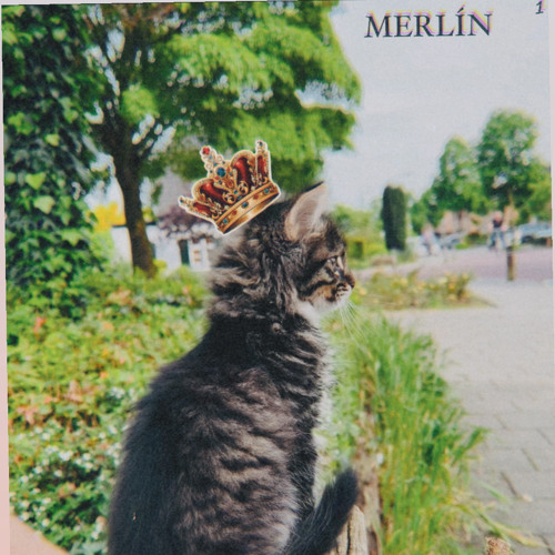 👑 𝓣𝓗𝓔 𝓒𝓡𝓞𝓦𝓝𝓔𝓓 ⚜️ MAGIC SOUNDS OF MERLÍN 1